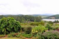 Lakeview Cottages - B&B Haenertsburg