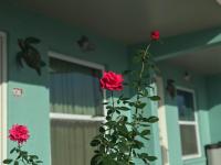 Immokalee Inn - B&B