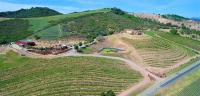 Sirena Vineyard Resort - 3 Bedroom guest house - B&B Paso Robles