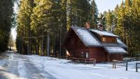 Digital Detox Chalet Pokljuka - Chambres d'hôtes Goreljek