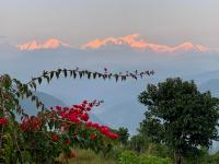 Chambre Lits Jumeaux Standard - Vue sur Montagne