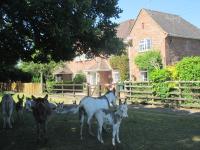 B&B Brockenhurst - Hops Main House, Brockenhurst, New Forest - Bed and Breakfast Brockenhurst