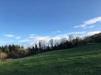 Forest View - Castlewellan, County Down - B&B