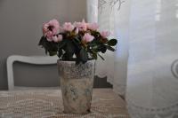 Camera Singola con Bagno Privato