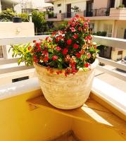 Ellis Apartments , Amperia , Crete - B&B