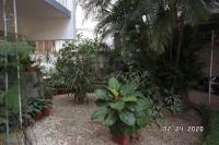 Sandra's Home - B&B Ernākulam