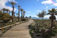 El Chiringuito - B&B Retamar