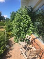 Camera Matrimoniale Budget 