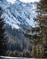Driepersoonskamer