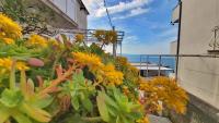 Apartment Cedo - B&B Omiš