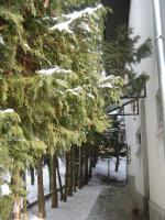 Apartment mit 1 Schlafzimmer und Terrasse