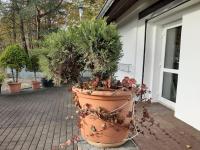 Landlust! - B&B Hoyerswerda