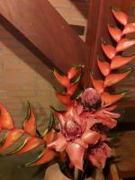 Pousada do Condado - B&B