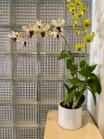 The Clipper Hotel, Poblacion Makati - B&B Manila