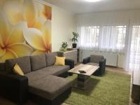 Galéria deluxe apartman - B&B Mezőkövesd