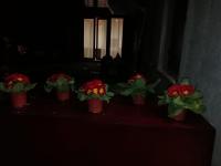 Calle Michelangelo Apartments - B&B Venecia