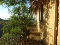 Bungalow (4 Adults)