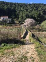 Stiniva beach house - Ferienwohnung Brusje