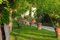 Giaggiolo - B&B Poggibonsi