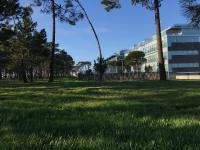 roomAREA vivienda turistica - Ferienwohnung Illa de Arousa