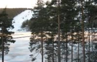 One-Bedroom Apartment with Sauna