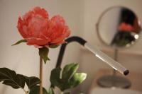 Camera Matrimoniale/Doppia con Letti Singoli con Vista Lago.