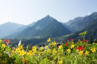 Baumgartnerhof - B&B Schenna