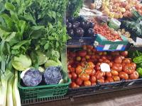 Casa do Sapateiro - No centro histórico de Aljezur - Ferienwohnung Aljezur