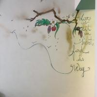 Cortiletto d'Alba camere con ristorante - B&B Alba