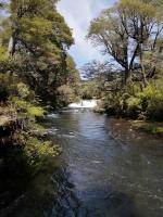 El Rincon de la Olguita - Ferienwohnung Curacautín