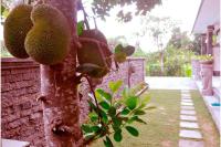 The Lod Villa - B&B Ubud