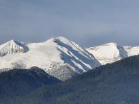 Simonen Apartments near the Gondola - B&B Bansko
