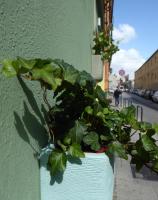 I Giganti - B&B