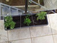 Studio Kostas - B&B Mátala