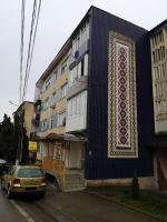 Cosy Elegant Apartment - B&B Cehu Silvaniei