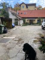 Central apartment- Shumi's - B&B