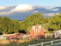 Amazing Loft on Horse Ranch - B&B