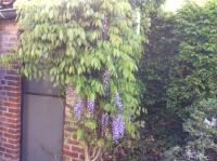 Tweepersoonskamer met Eigen Badkamer