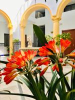 Fabuloso Loft en Centro Histórico de Córdoba con Parking bajo reserva Tendillas Mezquita-Catedral - Chambres d'hôtes Cordoue