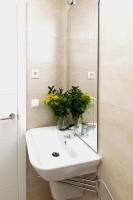 Estudio - Planta baja