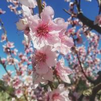 Casas Rurales Los Marqueses - Bed and Breakfast Valmuel