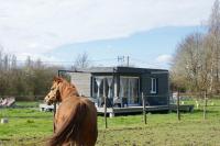 Cottage tout confort au milieu des chevaux - B&B