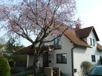 Ferienwohnung Kiko - Ferienwohnung
