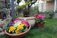 B&B Villa Lilla spiaggia inclusa e bici gratuite a San Benedetto del Tronto Camere con terrazzo e Colazione inclusa - Chambres d'hôtes San Benedetto del Tronto