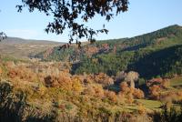 Casa Rural Harri Etxea - B&B Iracheta