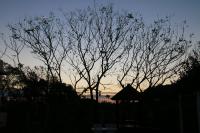 Dream Home B&B - Ferienwohnung Hualien City