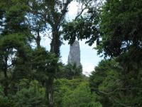 Suite with Mountain View