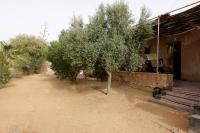 Grand Sud, la maison de sable