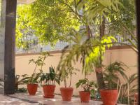 Kibu Home - B&B