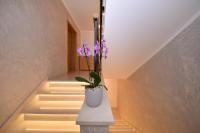 APARTMANI PETRA - B&B